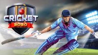 Cricket 2020 Online Game