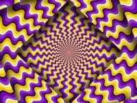 Optical Illusion Puzzle Challenge