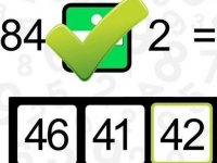 Math Whizz Online Puzzle Game