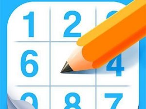 Master Sudoku Puzzle Game - Logic Puzzle Game
