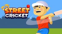 Street Cricket Online Game