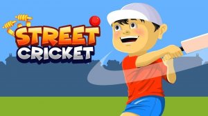 Street Cricket Online Arcade Game