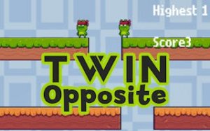 Mirror Leap: Dual Frog Challenge