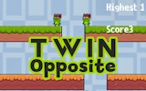 Mirror Leap: Dual Frog Challenge