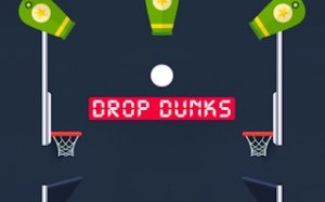 Basketball Drop Puzzle