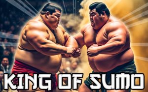 Sumo Sports Challenge