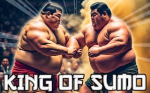 Sumo Sports Challenge