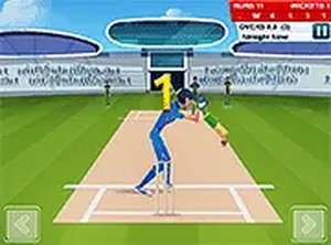 Cricket Mania Online Arcade Game