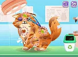 Pet Clinic Adventures: Animal Wellness and Style